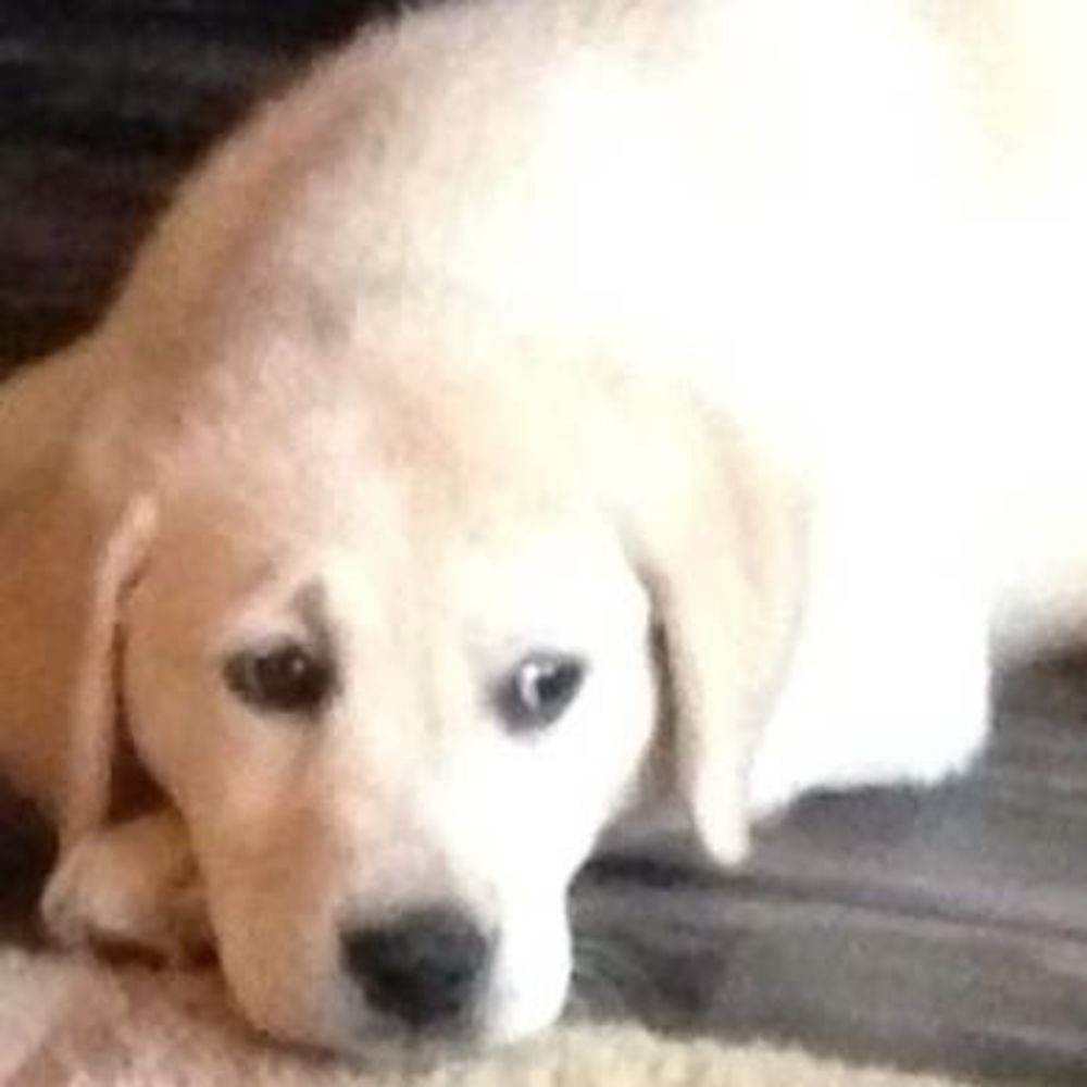 Meet your Posher, Karyn